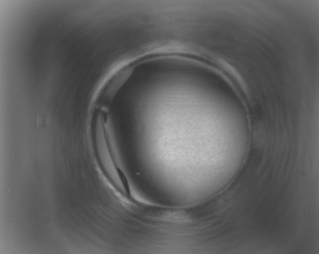 X0000082981464200702081755