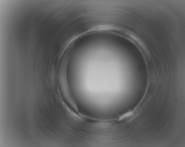 X0000082981473200702081755
