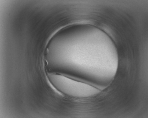 X0000082981476200702081755