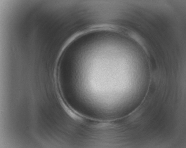 X0000082981482200702081755