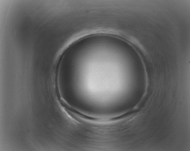 X0000082981504200702081754