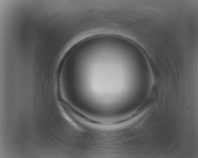 X0000082981511200702081754