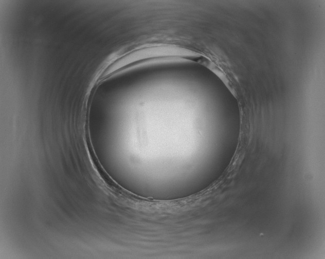 X0000082980003200702160010