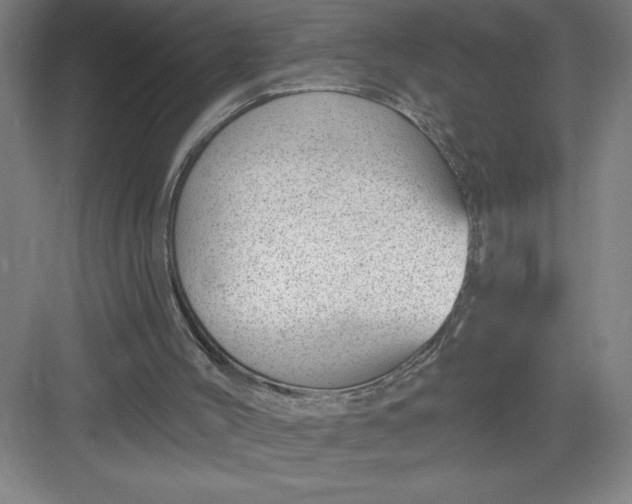 X0000082980004200702160010