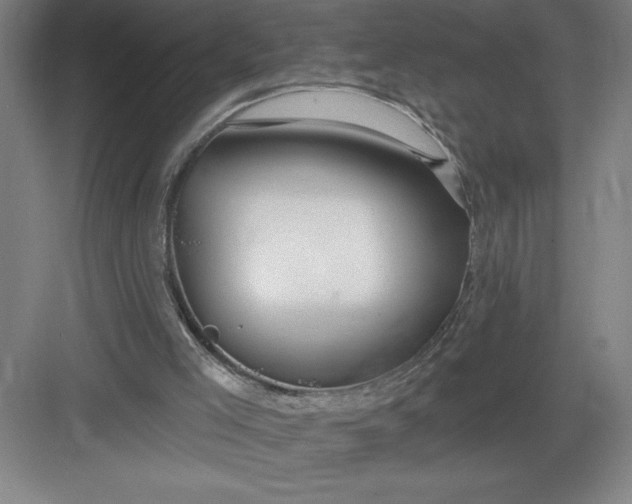 X0000082980005200702160010