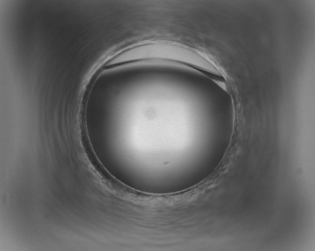 X0000082980007200702160010