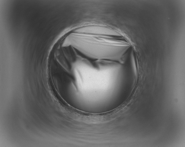 X0000082980008200702160009