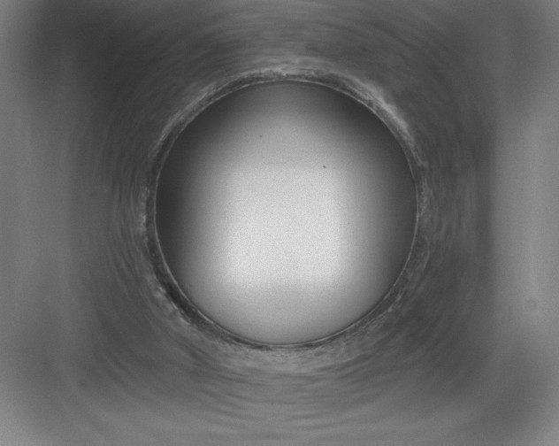 X0000082980010200702160009