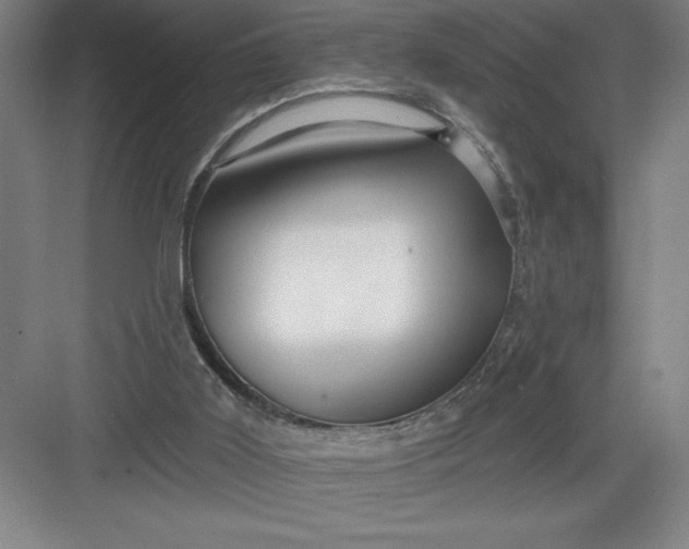 X0000082980011200702160009