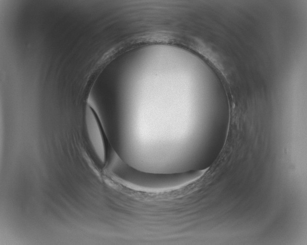 X0000082980013200702160009