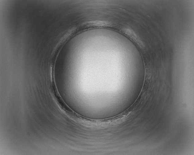 X0000082980014200702160009