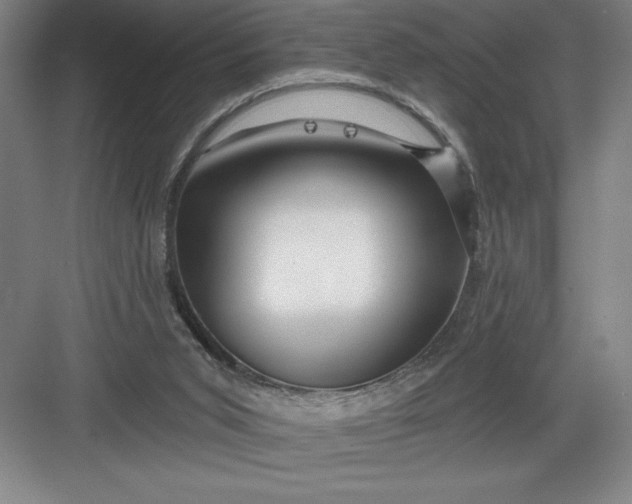 X0000082980015200702160009
