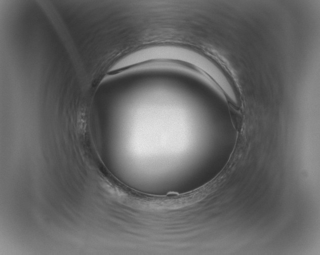 X0000082980017200702160009
