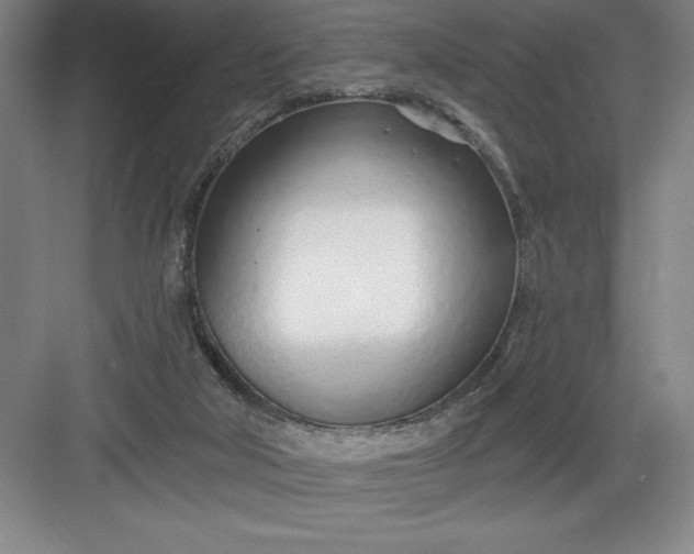 X0000082980018200702160009