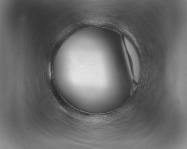 X0000082980020200702160009