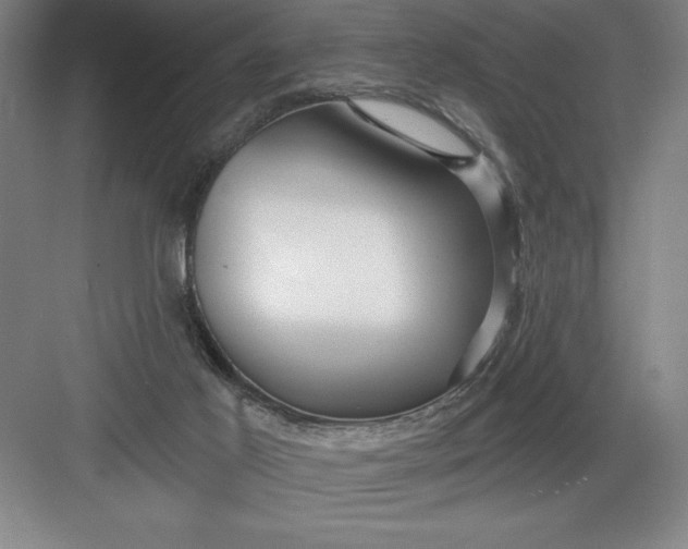 X0000082980021200702160009