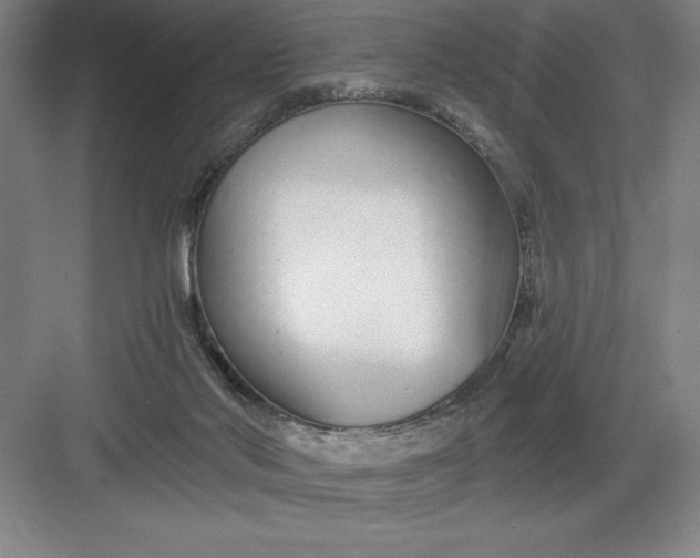 X0000082980022200702160009