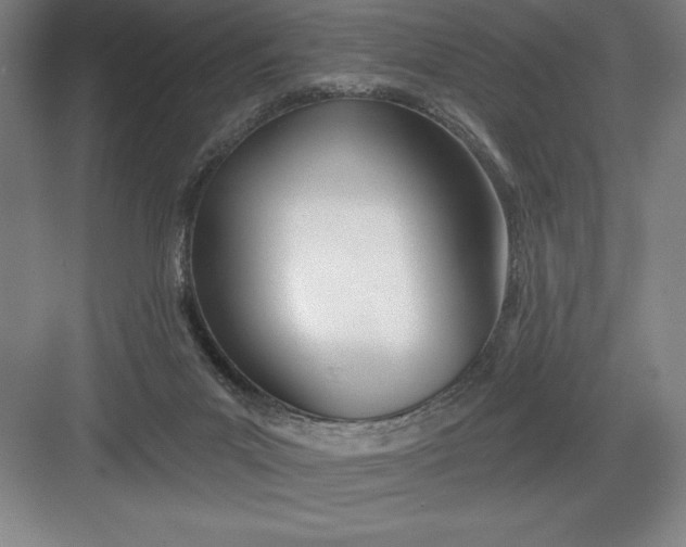 X0000082980023200702160009
