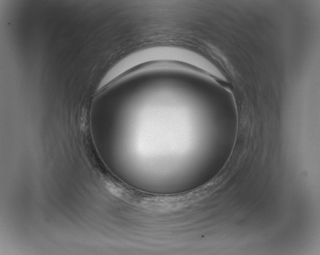 X0000082980025200702160009