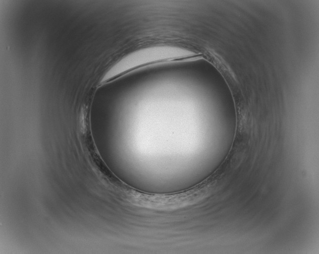 X0000082980026200702160009