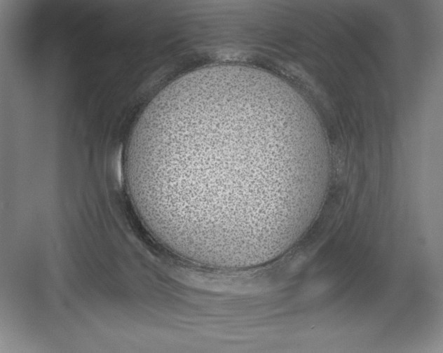 X0000082980028200702160009