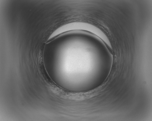 X0000082980029200702160009