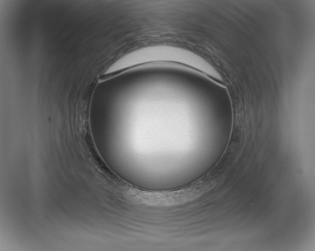 X0000082980030200702160009