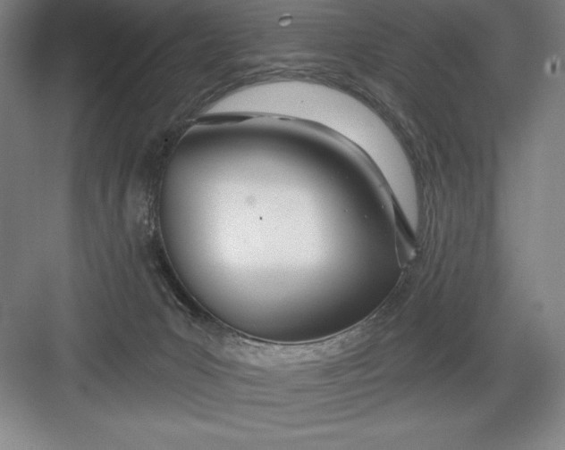 X0000082980031200702160009