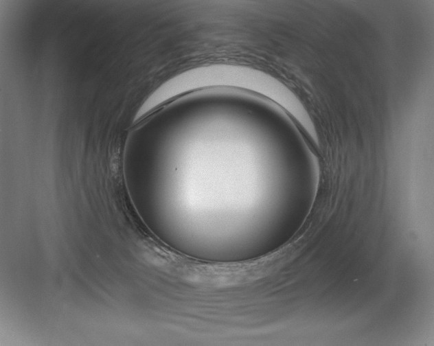 X0000082980033200702160009