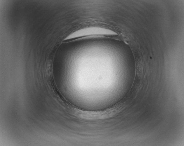 X0000082980034200702160009