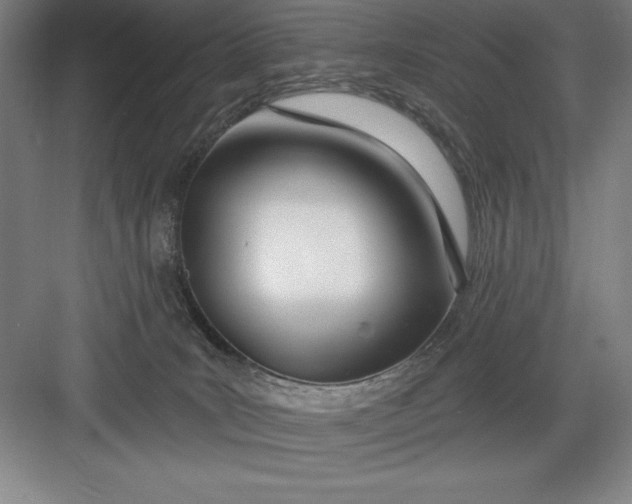 X0000082980035200702160009