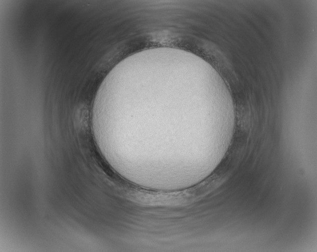 X0000082980036200702160009