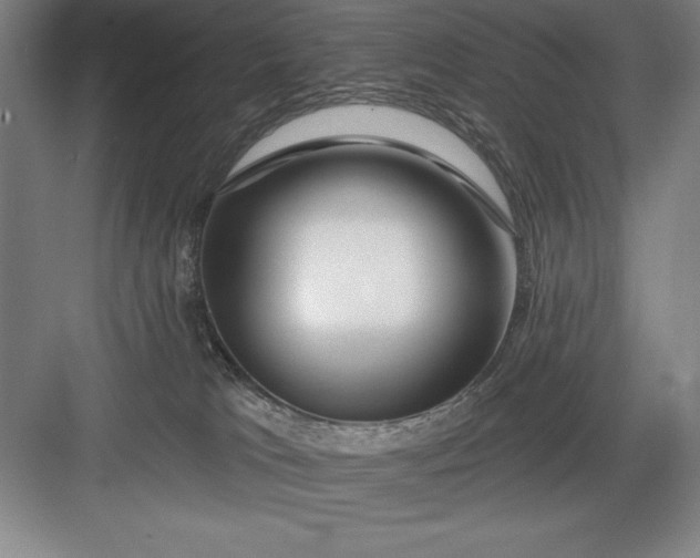 X0000082980037200702160009