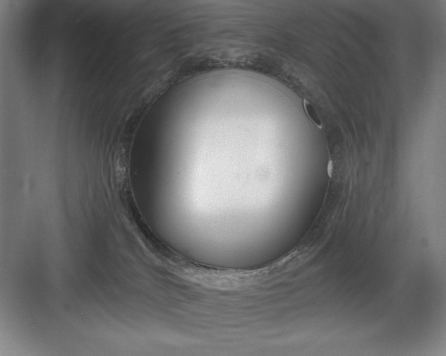X0000082980040200702160009