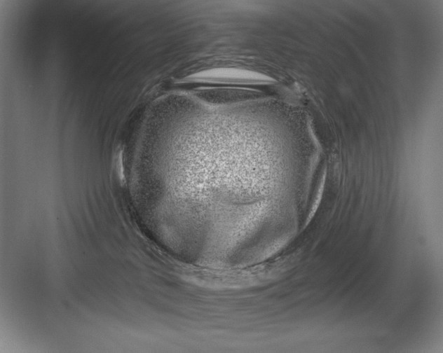 X0000082980042200702160009