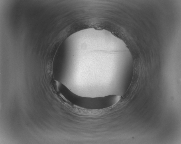 X0000082980044200702160009