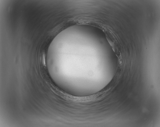 X0000082980046200702160009
