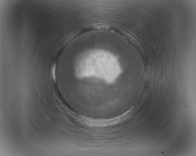 X0000082980047200702160009