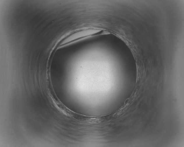 X0000082980050200702160008