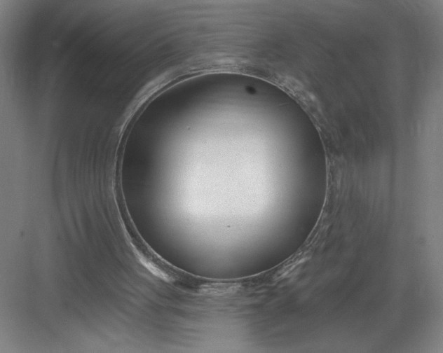 X0000082980051200702160008