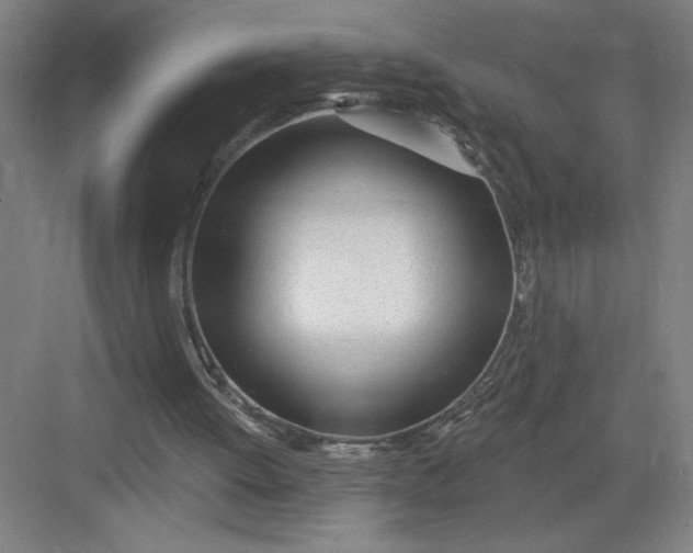 X0000082980052200702160008
