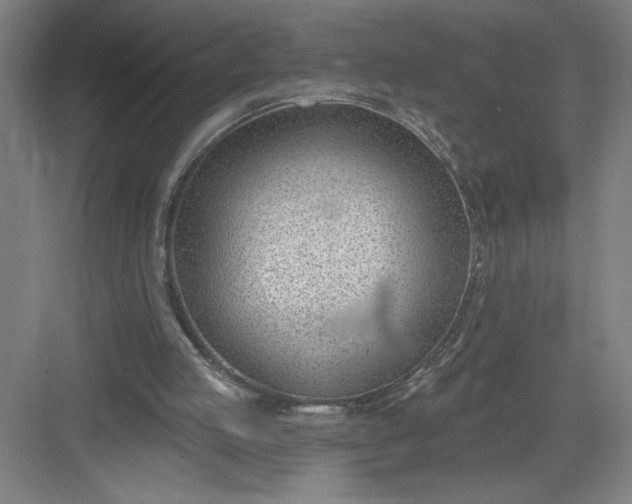 X0000082980053200702160008