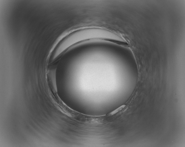 X0000082980056200702160008