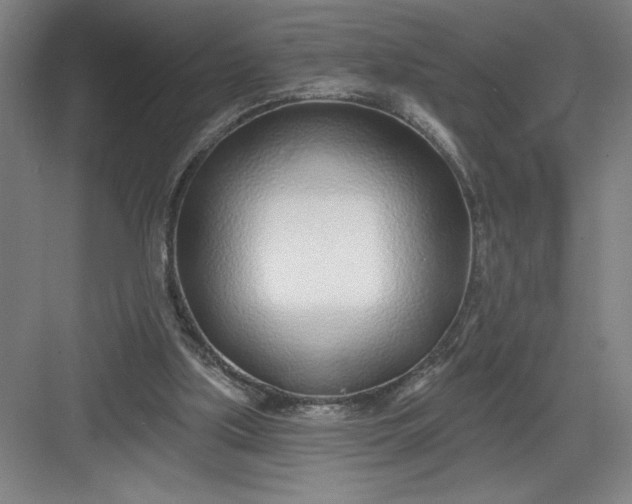X0000082980059200702160008