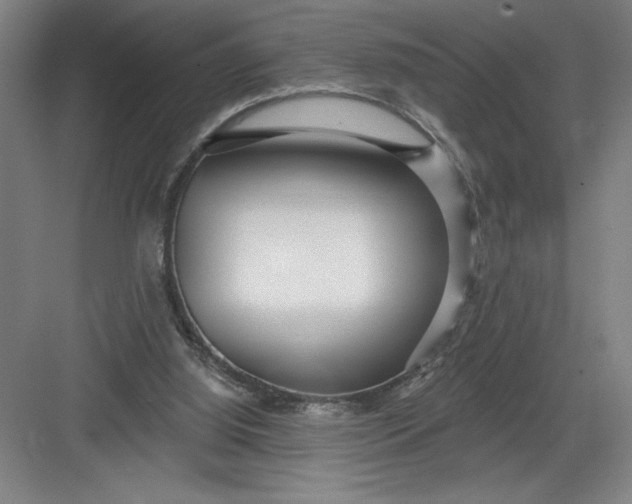 X0000082980060200702160008