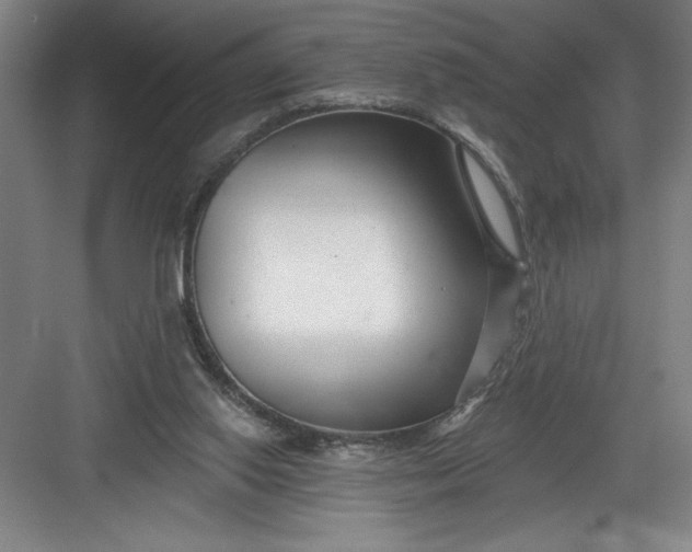X0000082980062200702160008