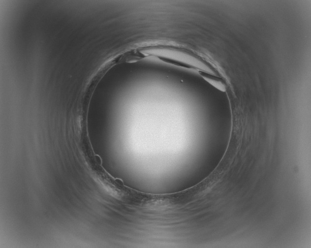 X0000082980063200702160008