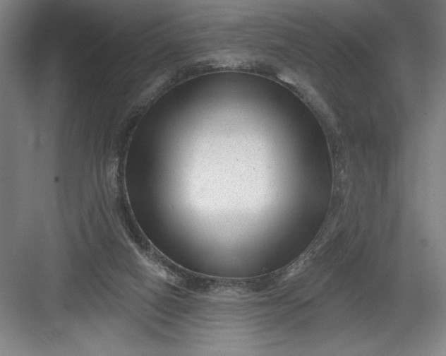 X0000082980066200702160008