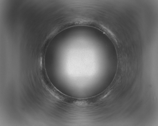 X0000082980067200702160008