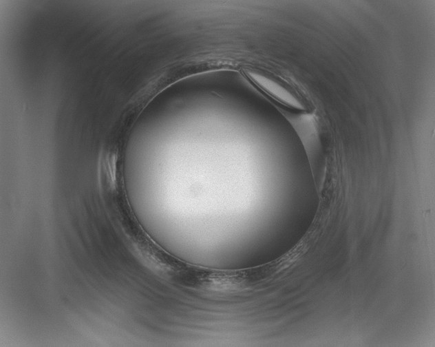 X0000082980070200702160008